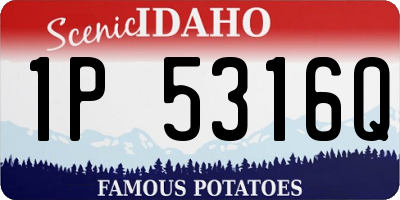 ID license plate 1P5316Q