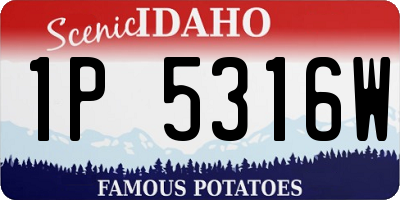 ID license plate 1P5316W