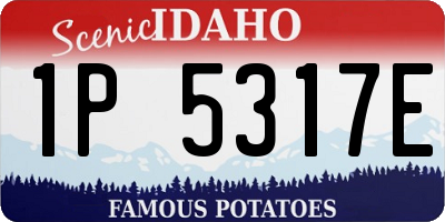ID license plate 1P5317E