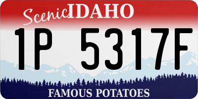 ID license plate 1P5317F