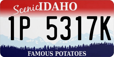 ID license plate 1P5317K
