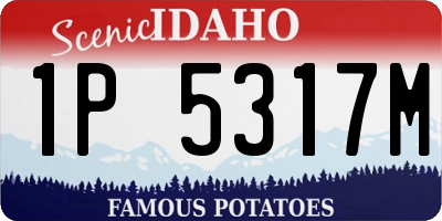ID license plate 1P5317M