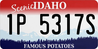 ID license plate 1P5317S