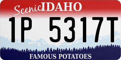 ID license plate 1P5317T