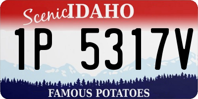 ID license plate 1P5317V