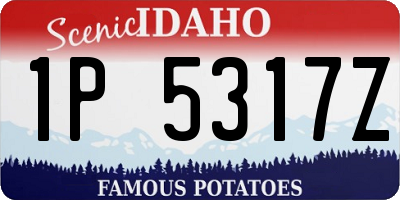 ID license plate 1P5317Z