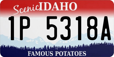 ID license plate 1P5318A