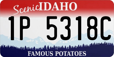 ID license plate 1P5318C