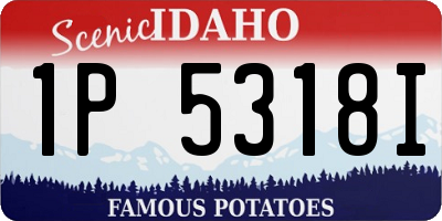ID license plate 1P5318I