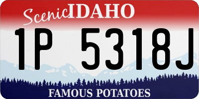 ID license plate 1P5318J