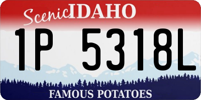 ID license plate 1P5318L