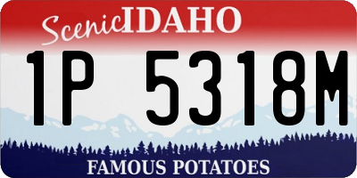 ID license plate 1P5318M