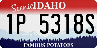 ID license plate 1P5318S