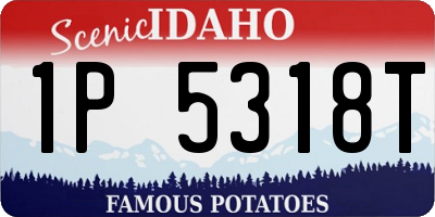 ID license plate 1P5318T