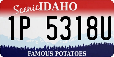 ID license plate 1P5318U