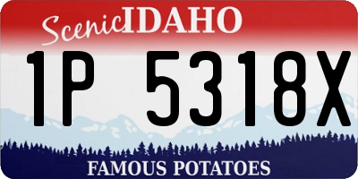 ID license plate 1P5318X
