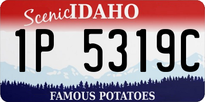 ID license plate 1P5319C