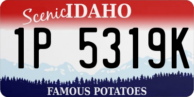 ID license plate 1P5319K