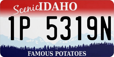 ID license plate 1P5319N