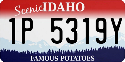 ID license plate 1P5319Y