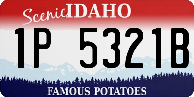 ID license plate 1P5321B
