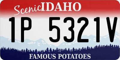 ID license plate 1P5321V