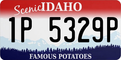 ID license plate 1P5329P