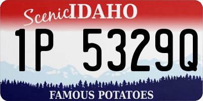 ID license plate 1P5329Q