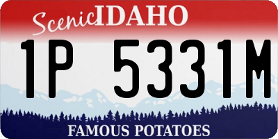 ID license plate 1P5331M
