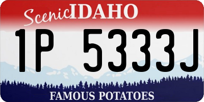ID license plate 1P5333J