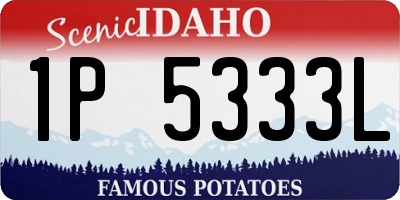 ID license plate 1P5333L