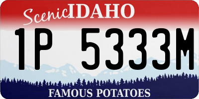 ID license plate 1P5333M