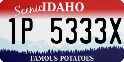 ID license plate 1P5333X