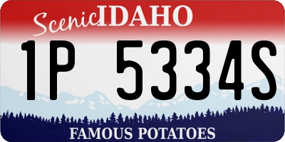 ID license plate 1P5334S