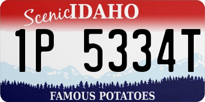 ID license plate 1P5334T