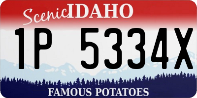 ID license plate 1P5334X