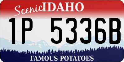 ID license plate 1P5336B