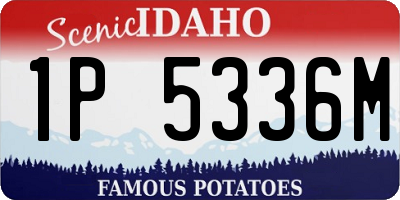ID license plate 1P5336M