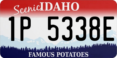 ID license plate 1P5338E