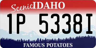 ID license plate 1P5338I