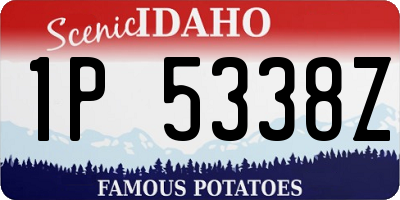 ID license plate 1P5338Z