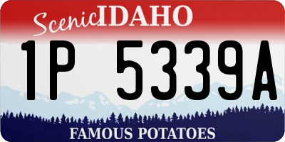 ID license plate 1P5339A