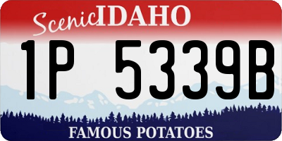 ID license plate 1P5339B