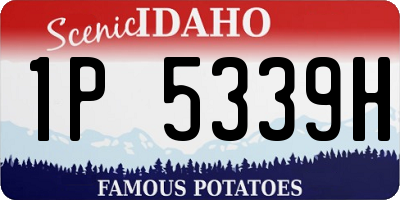 ID license plate 1P5339H