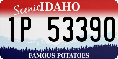 ID license plate 1P5339O