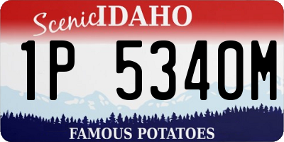 ID license plate 1P5340M