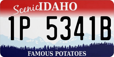 ID license plate 1P5341B
