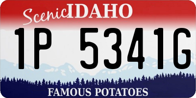 ID license plate 1P5341G