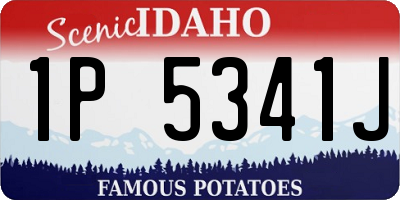 ID license plate 1P5341J