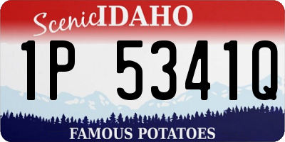 ID license plate 1P5341Q